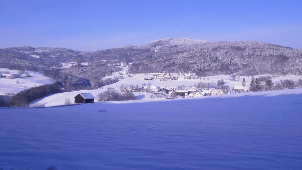 Landgut Stetter Hotel Schöllnach Eksteriør billede